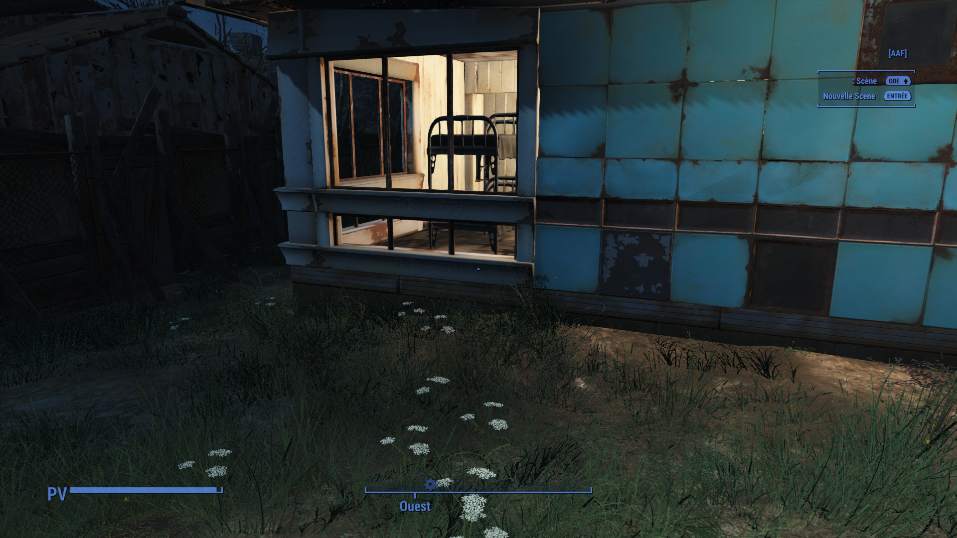 image.png.3539959751ef0a6bb7647d2dbd5777a0.png