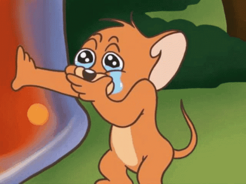 tom-y-jerry-tom-and-jerry.gif.932b41b0951c609e74369f30ae921a08.gif