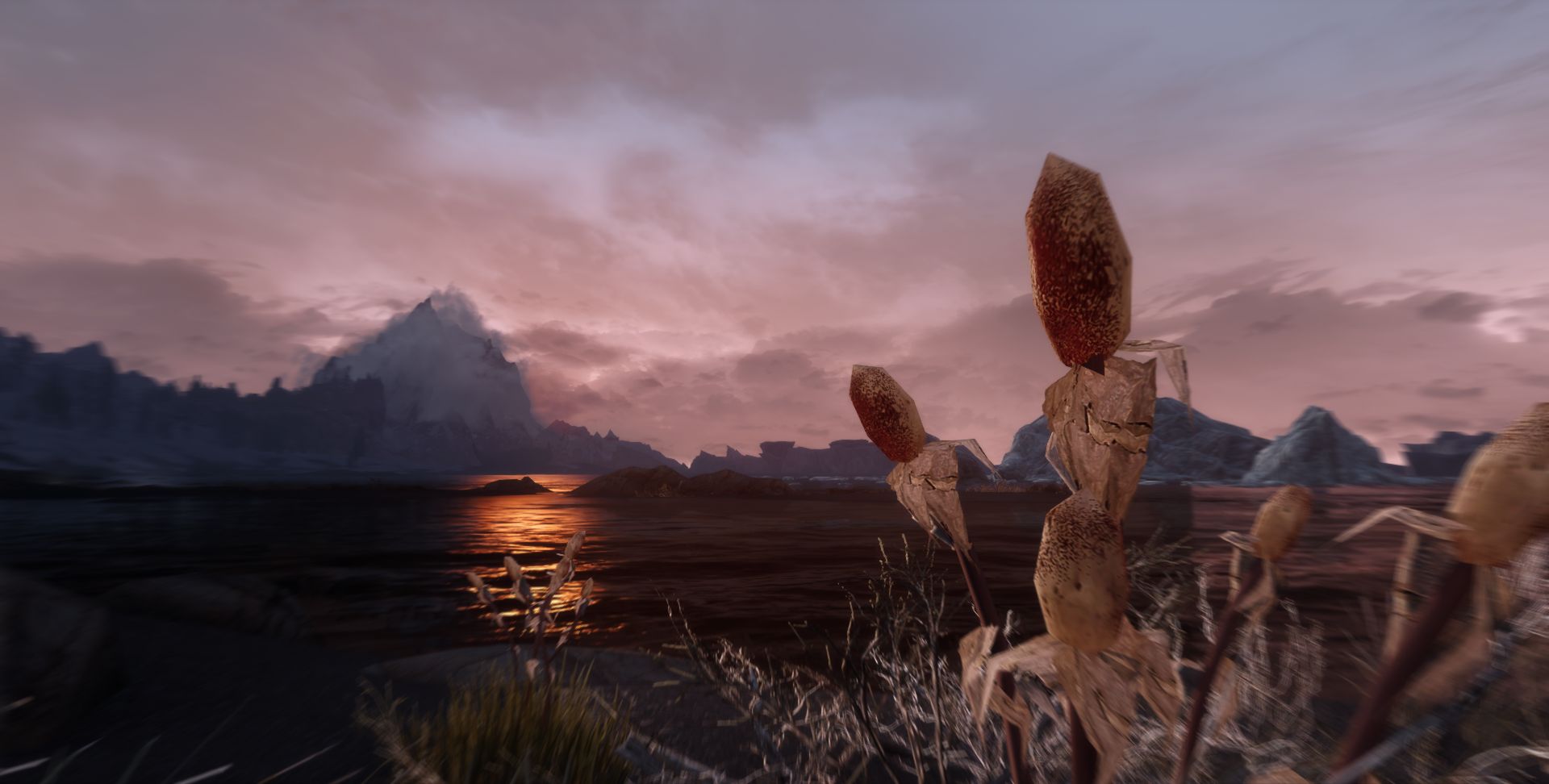 1737362003_SkyrimmeetsVanGogh.jpg.4b67a4eea76191345e9f347fed51a24c.jpg