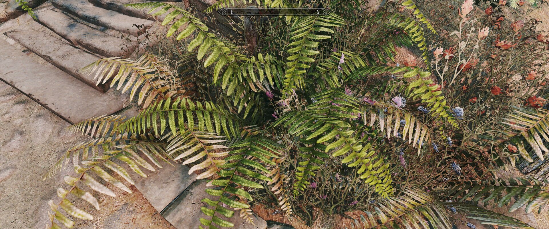 SkyrimSE 2022-11-08 21-35-35-44.jpg