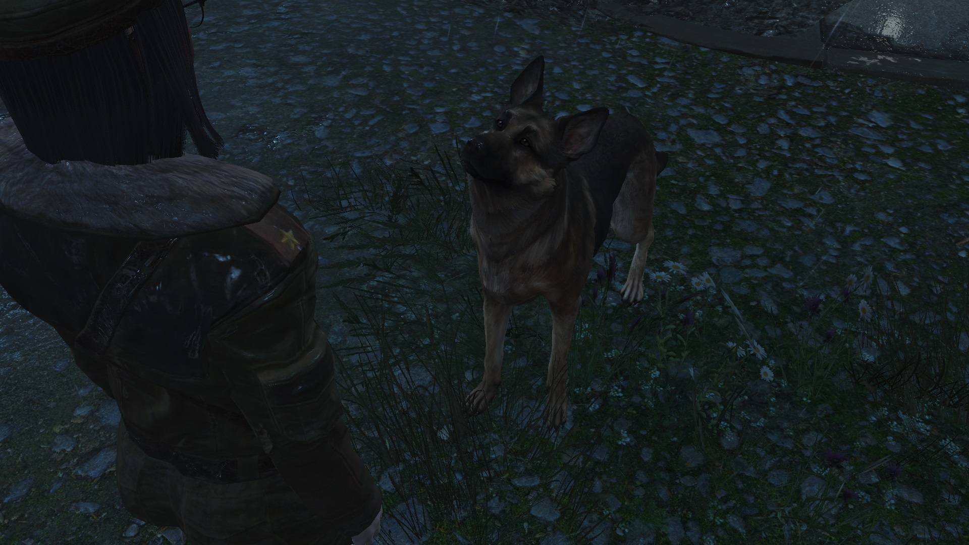 Fallout4_Kapitel08_09.jpg.a64e0ab239cdefe2ada606ed8dac0d51.jpg
