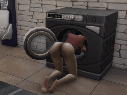 WashMach_z.gif