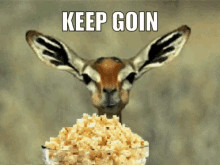 popcorn-lurking.gif.5a8a2fc6115d6df70dfa5f3d26260c34.gif