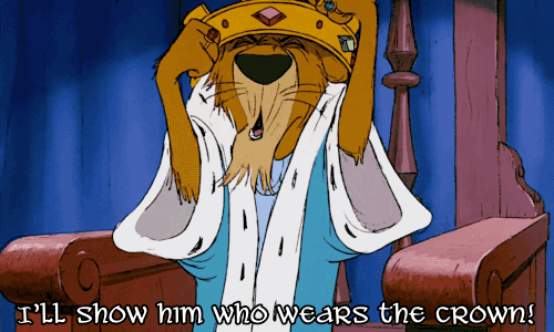 tumblr_n8cx8riF9W1s2wio8o1_r1_500-2204034130.gif