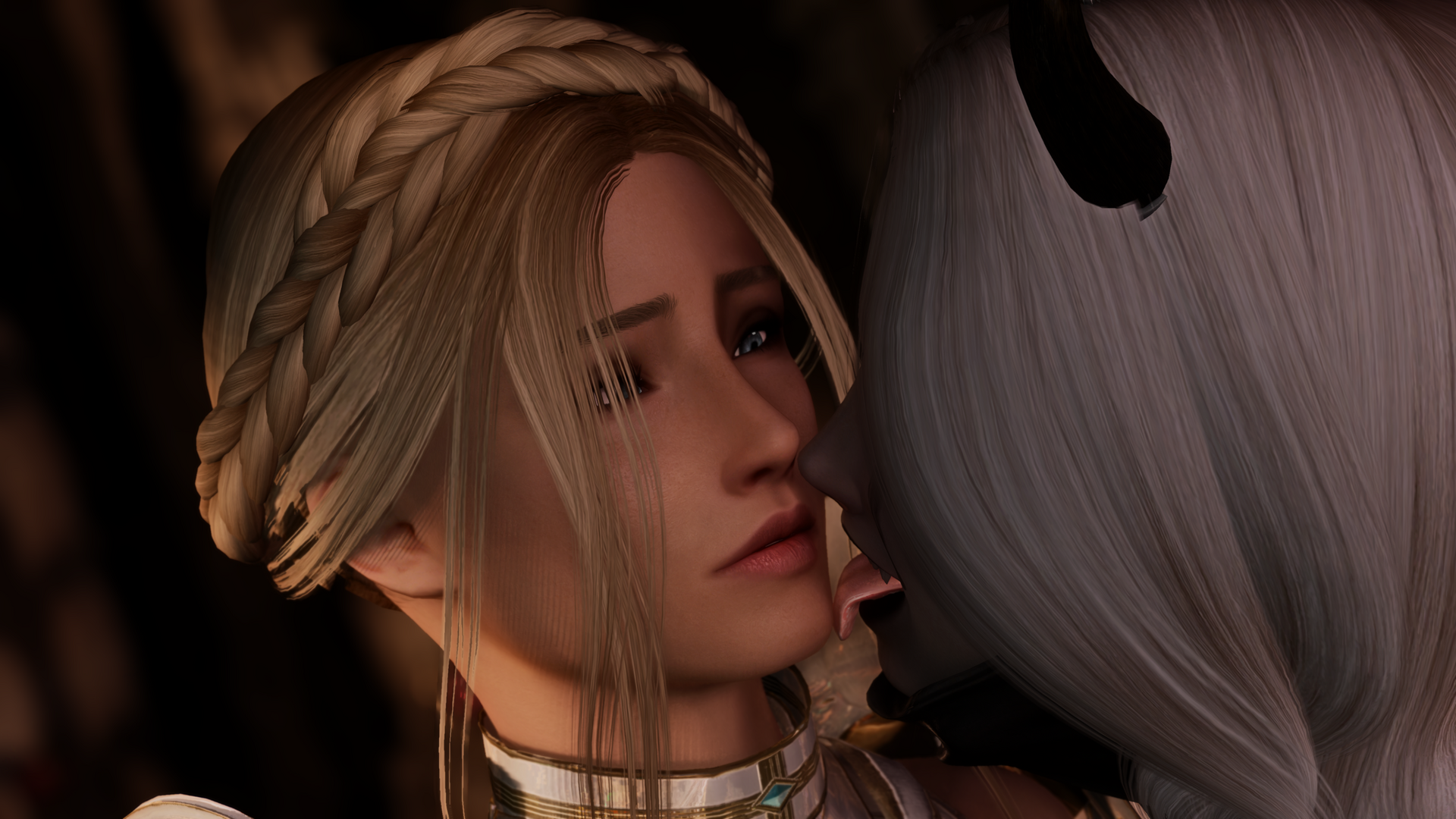 12.thumb.png.27910edb0f8ac5b9bf0e3dd5d3b48636.png