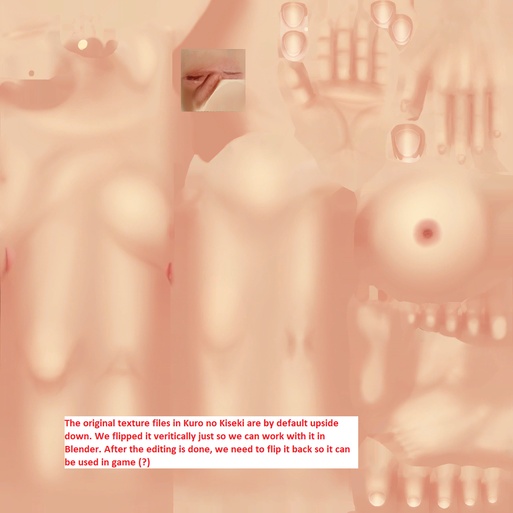 121559555_00withpudendum.png.a9a6484032a1e68cc0c190109e3c74c9.png
