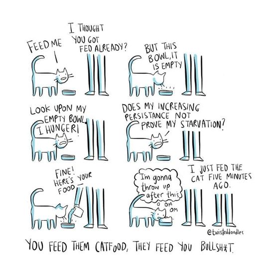 CatFoodBullshit.jpg.16095b850df55d3547db8c518c88944b.jpg