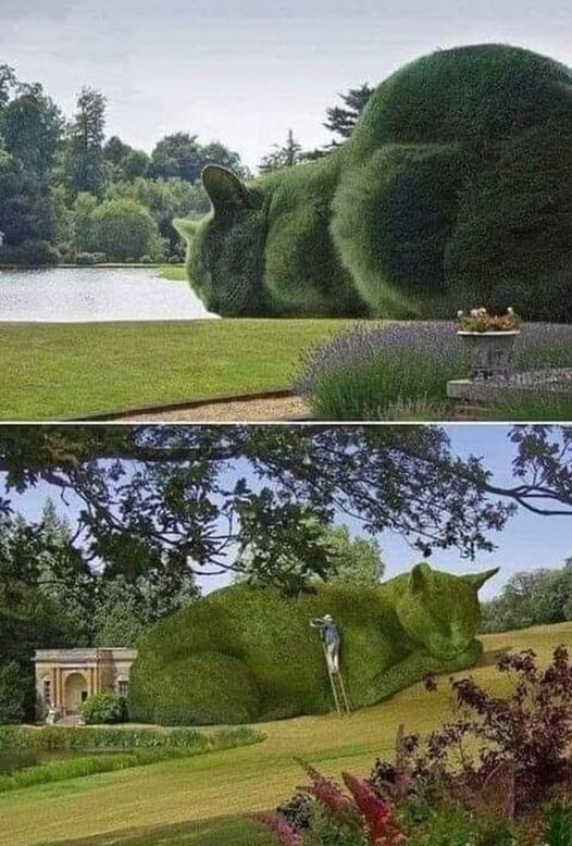 CatGreen.jpg.77da672dfced3c1f8f0d6501920b768c.jpg