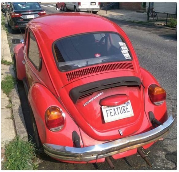 bug_feature.jpg.35757cd5d710f19533850acc5e51b5bb.jpg