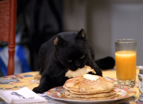 giphy-3793871971.gif