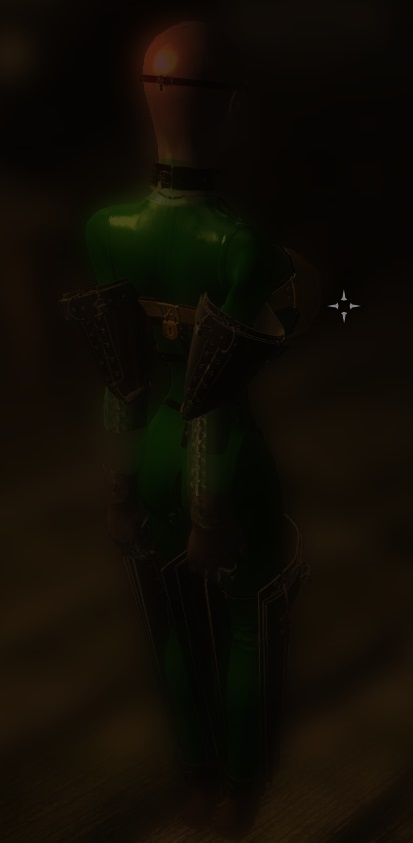 petsuit.jpg.8d0c1dcdb6ed069f0e5a452d5872cd8c.jpg