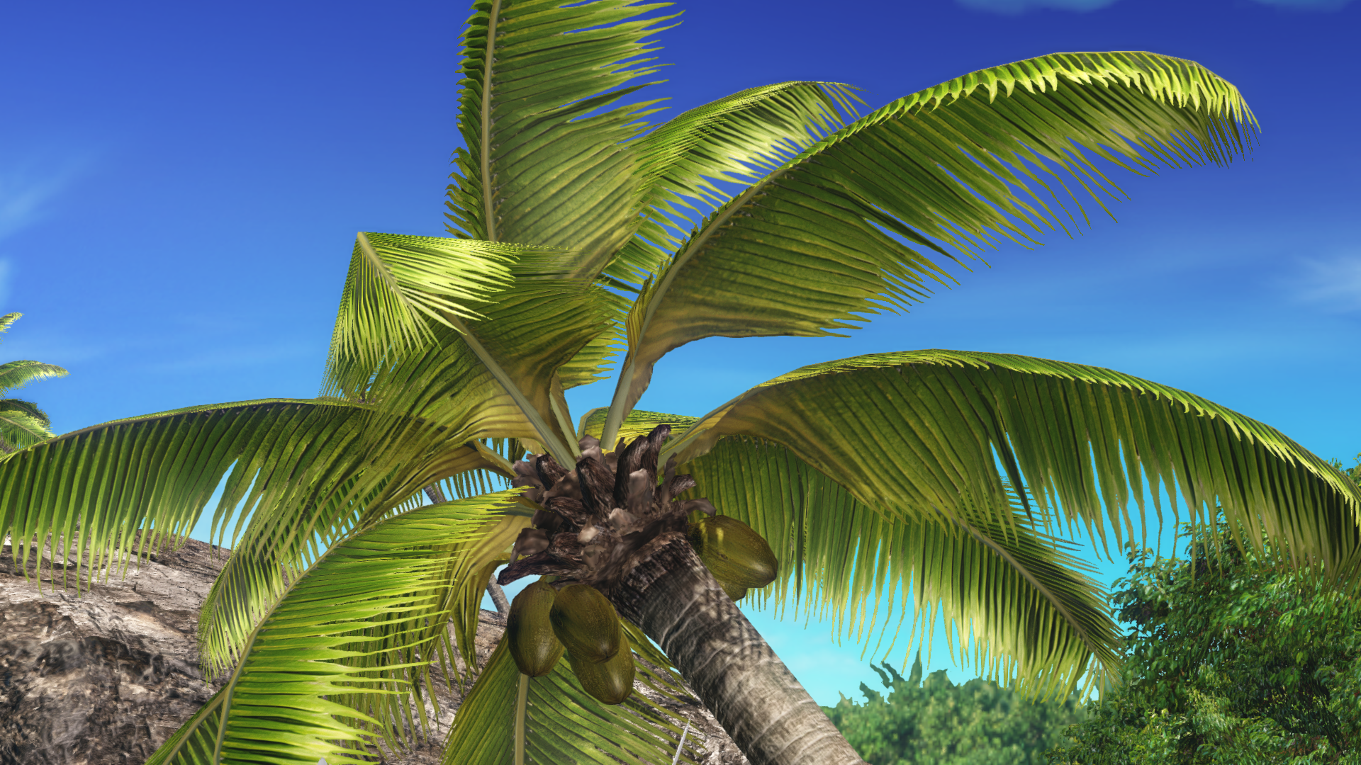 270163267_DOAX_VV2023-01-1022-25-19.png.efdd62fbf394a279997d7bfd544236e6.png