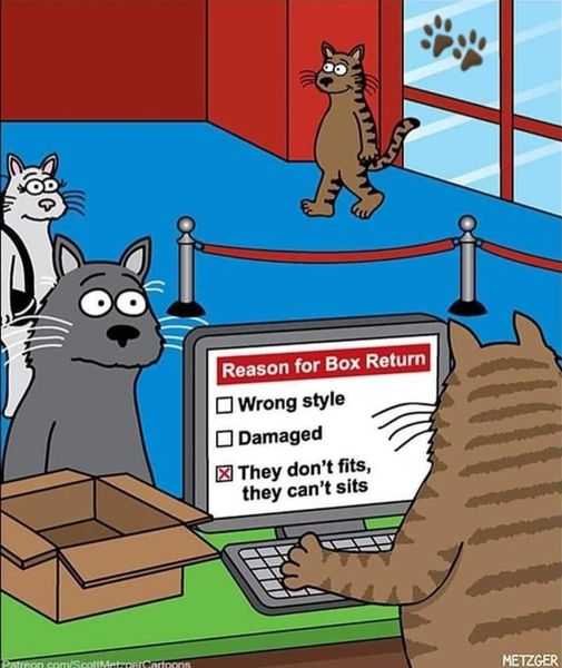 902367476_CatDontFitCantSit.jpg.e174919109cfffb09b8b2154b88e23ec.jpg