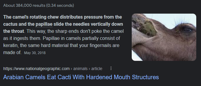 Capture.PNG.dd899a8c10cda4d6384cd44efd36b36b.PNG