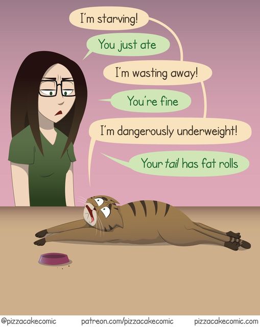 CatStarvingTailFatRools.jpg.aab54983cfa7a8159ccf3d78aa048495.jpg