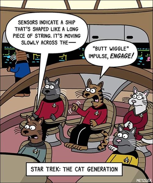 CatTrekwithREDshirts.jpg.7a4cdb7af5fdddb2bbe565d1980c82b1.jpg