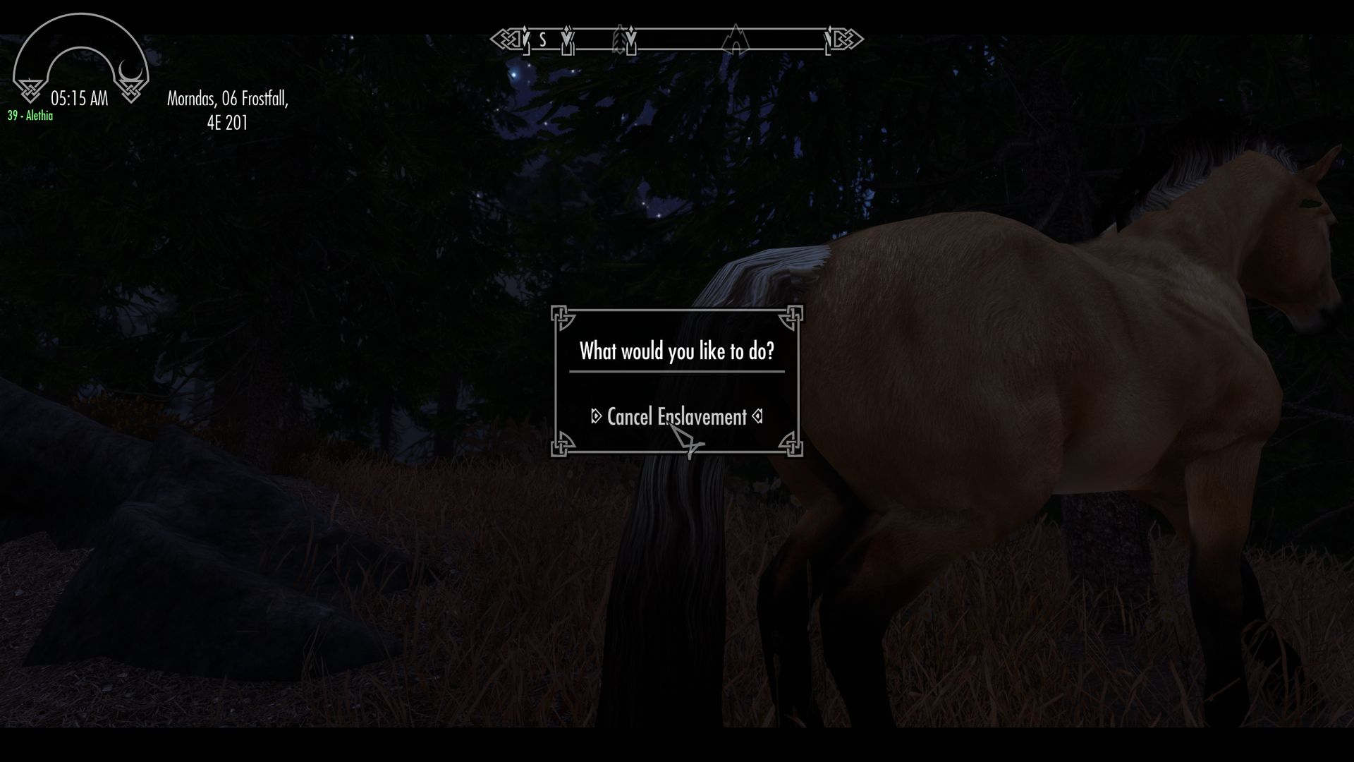 Horse01.jpg.c7e5769111de0d8440adc2aa4b5a5b1d.jpg