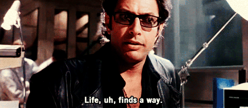 e8a.gif.3ab8e70c7776388404bc58d2947a5a43.gif