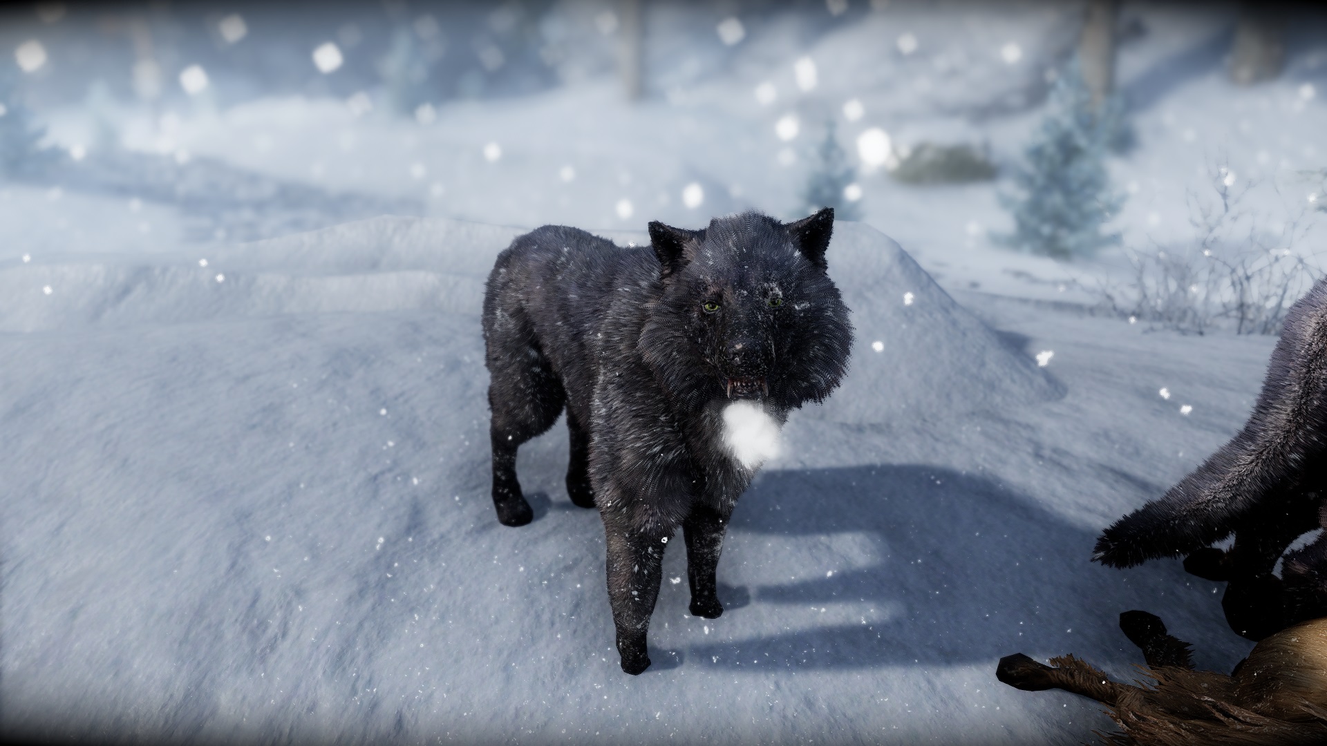 enb2023_1_10_06_09_17.jpg.9adae3e14e2bf9818430e9da9737c192.jpg
