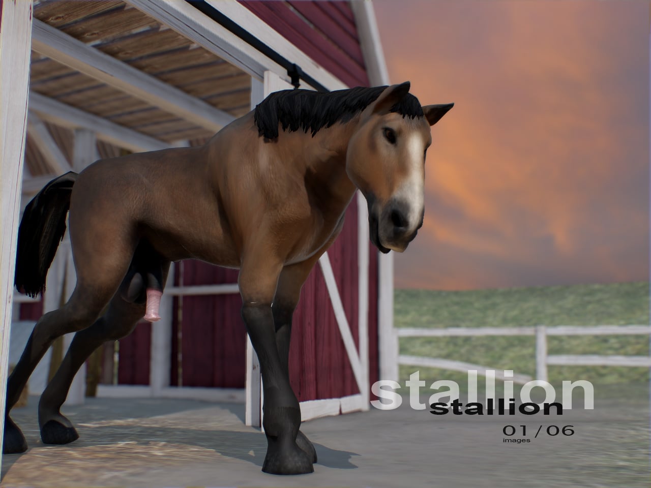 stallion01.jpg.f9ab0c3ea83de33647adf1b21b125e8e.jpg