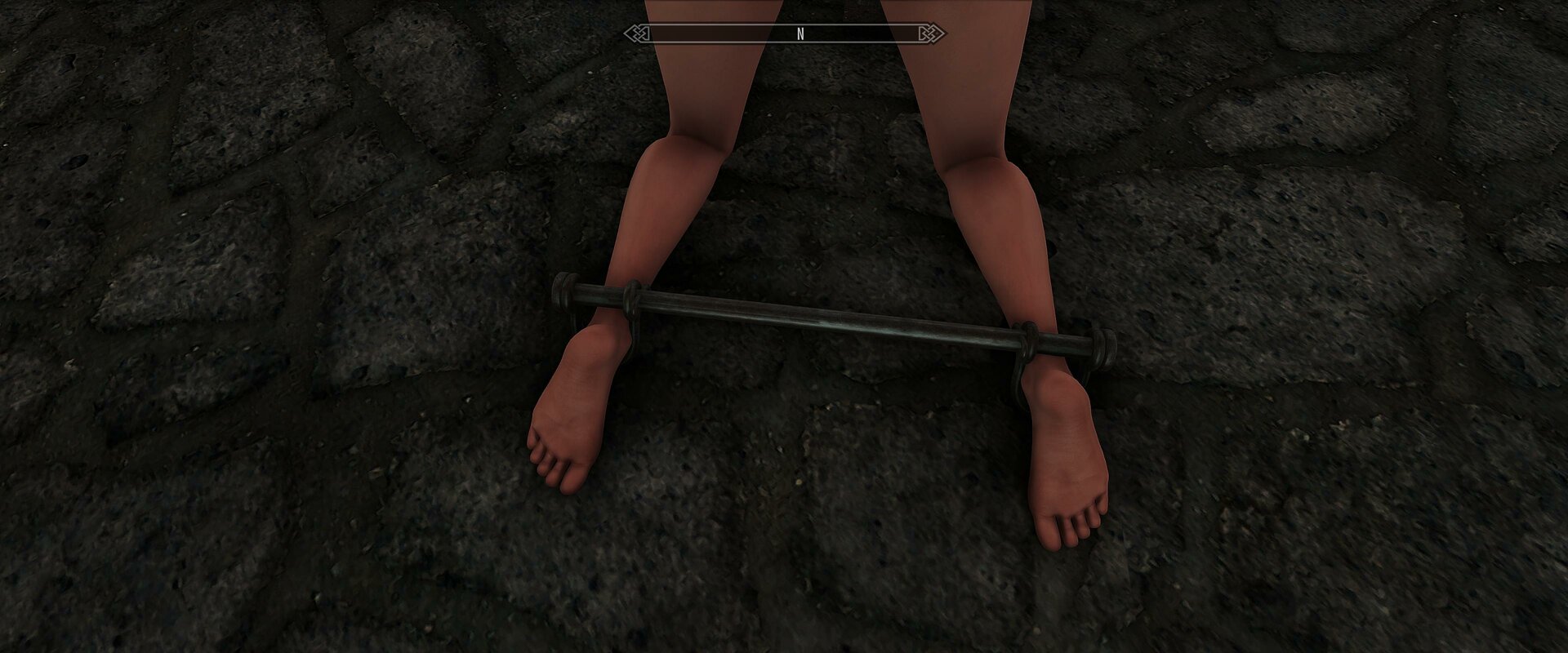 SkyrimSE 2023-02-26 10-59-43-91.jpg