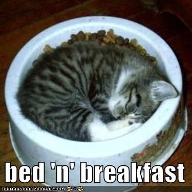 1781497964_bedandbreakfast.jpg.805d2b7c2c2b31221b2feb015bd00023.jpg