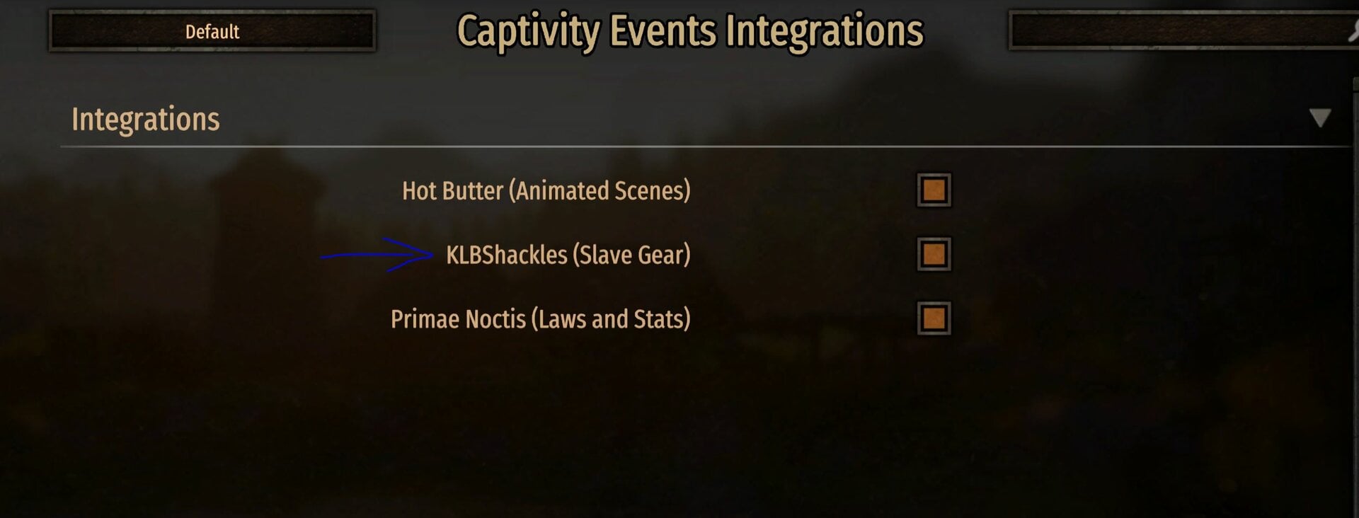 4.JPG