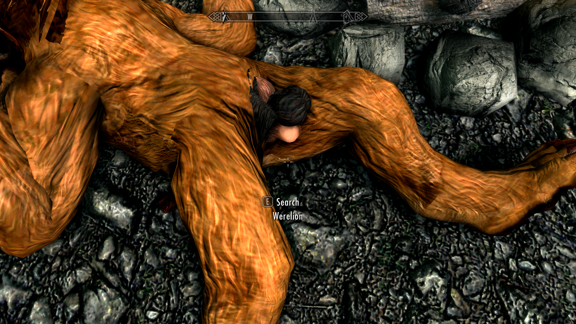 The Elder Scrolls V  Skyrim Special Edition Screenshot 2023.02.20 - 11.01.39.16.png