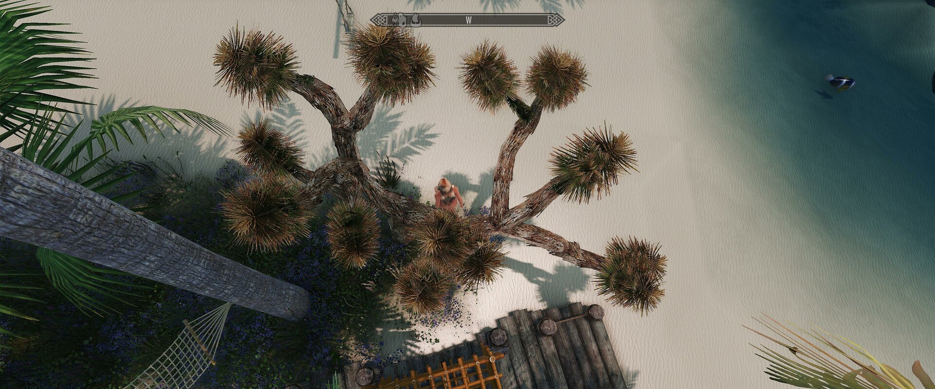 SkyrimSE 2023-02-18 13-54-03-90.jpg