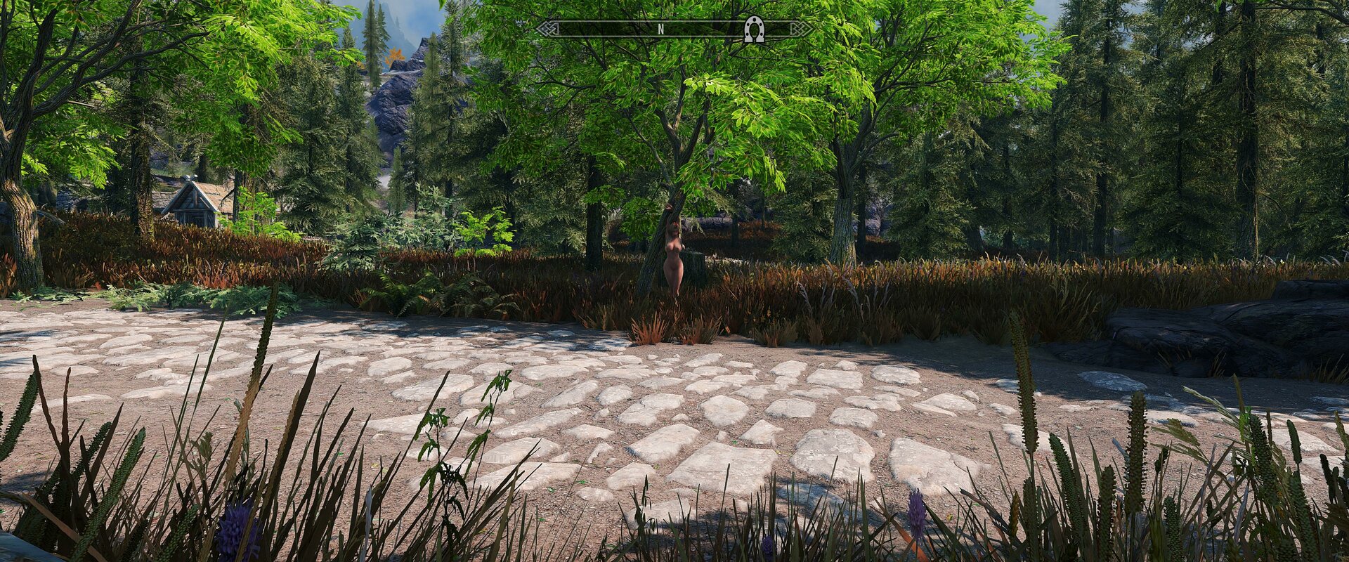 SkyrimSE 2023-02-25 00-56-46-55.jpg