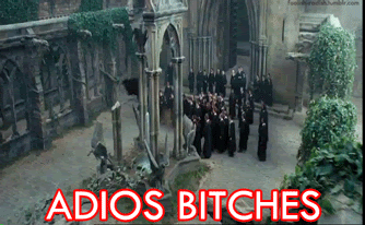 Broomride.gif.b8ebb7d9c2f435eb73abf3c53ef3cafe.gif