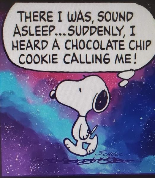 CallOfTheChocolateChipCookie.jpg.c2c8d7518494af59adcd6c4902038ecb.jpg
