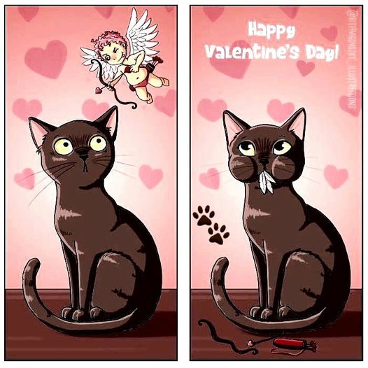 CatValentinesDay.jpg.17348656cb43f524c8ba7b4caef162af.jpg
