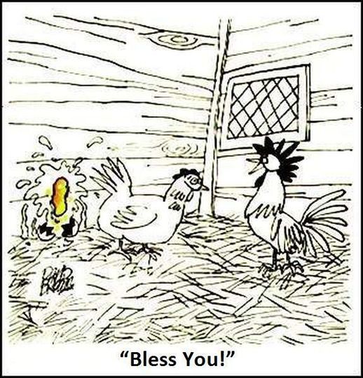 ChickenJoke.jpg.eed5e020c5f37009ce991dcddebf3f7d.jpg