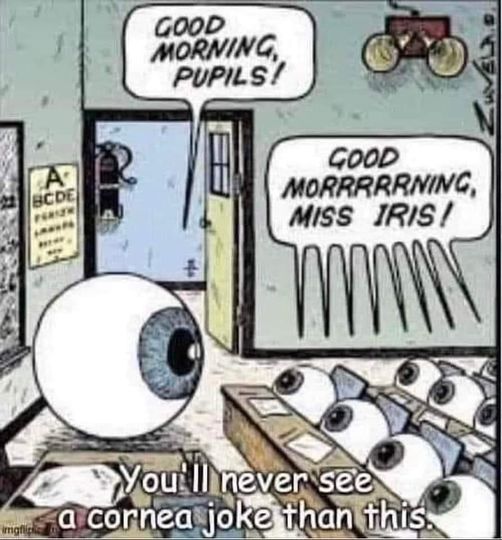 CorneaJoke.jpg.b533be00a585520fd249e2b4fb827004.jpg