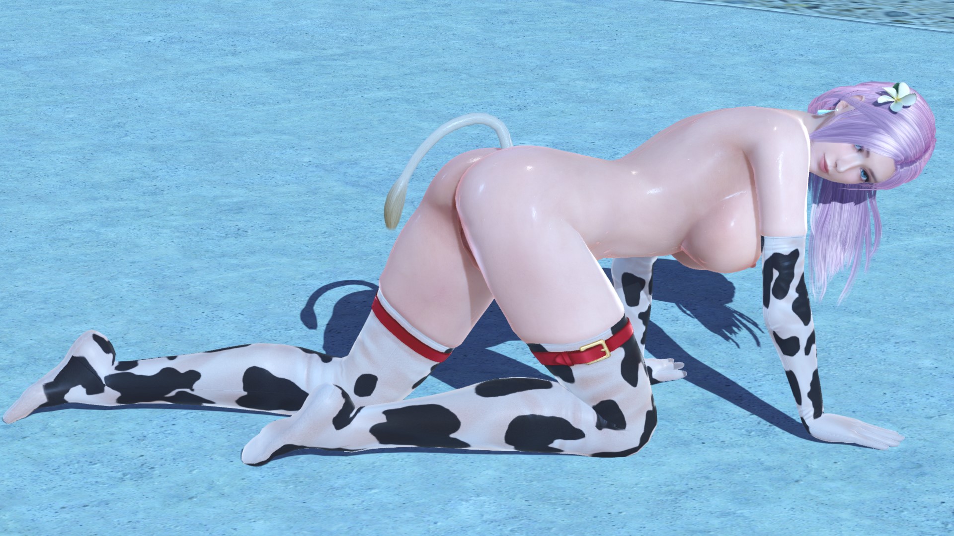DOAX-VenusVacation_230224_222312.jpg.66e6811241f585d91abd91693a2d6af7.jpg