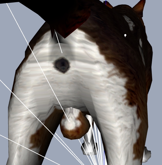 aadog2.jpg