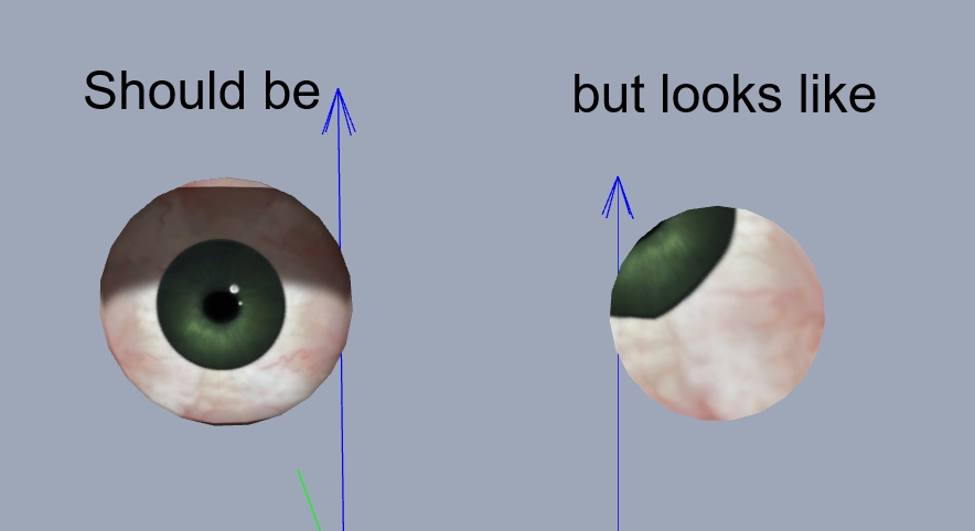 eye11.jpg