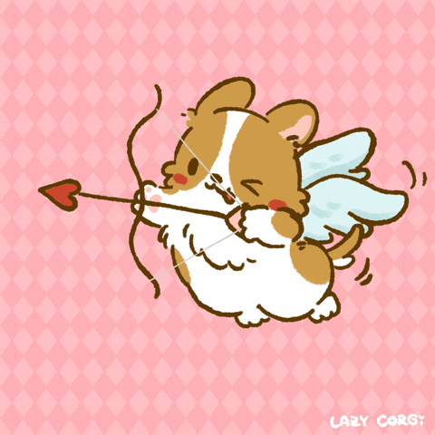 giphy.gif.ad8de73fd2f75e8c1de1e8904dc96d56.gif