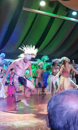 karikarirapanui-gif02x4.gif.970d69b412b8032cf8bf64742e23569f.gif