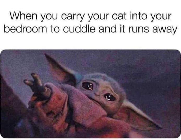 CatCuddleRun.jpg.2cec7d42638cba58f812579c314fb7aa.jpg