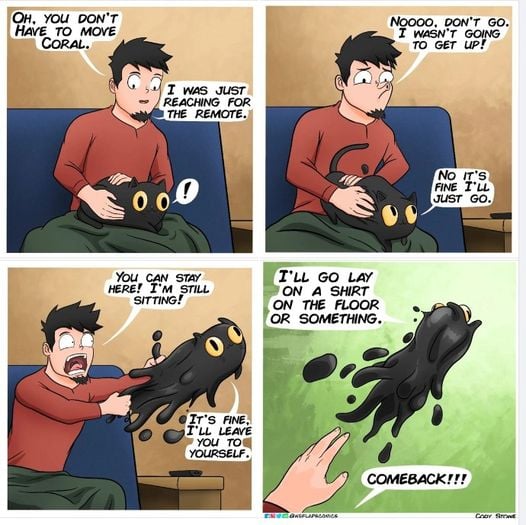 CatDisintigrating.jpg.ee111478dccb87e1fd204912b988c19c.jpg