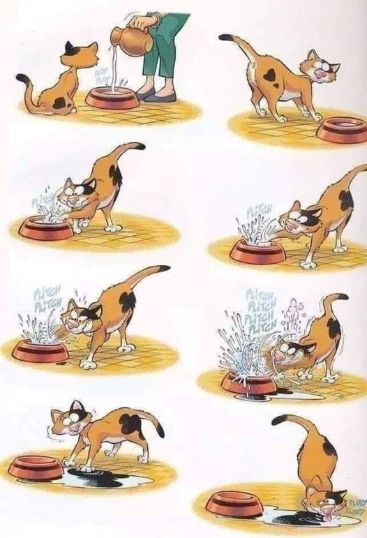 CatDrink.jpg.e53a22a445113bc3da4d1603868e7206.jpg