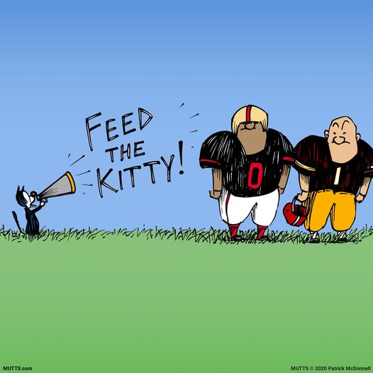 CatFeedTheKitty.jpg.1f9049aa75f6296bbdd1bebd34481719.jpg