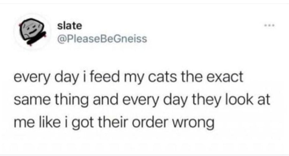 CatFoodOrder.jpg.ce2a8b695c157d88ff7718642dc0c2c0.jpg