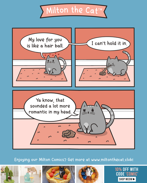 CatRomanticHairball.png.cc42869f723744d2c875aaf46e1fe94f.png