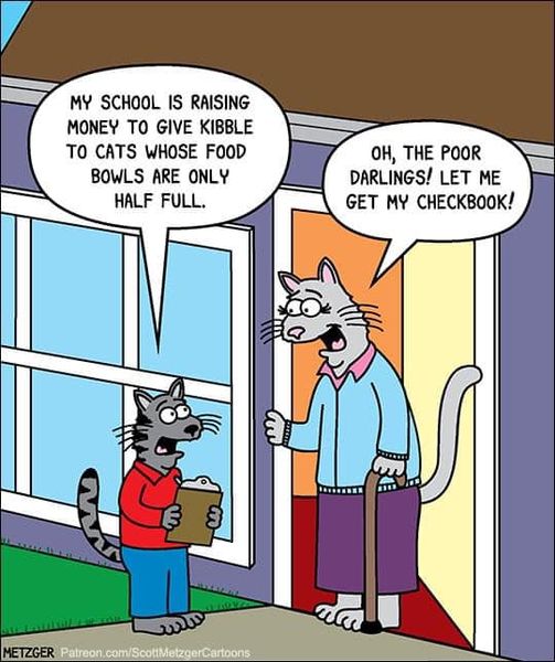 CatSchoolKibble.jpg.1b50ae57c974f5682762c9572e3965f5.jpg