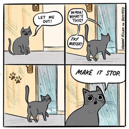 CatSkyWater.jpg.3ca80e004547ef87a2505650a67faa6f.jpg