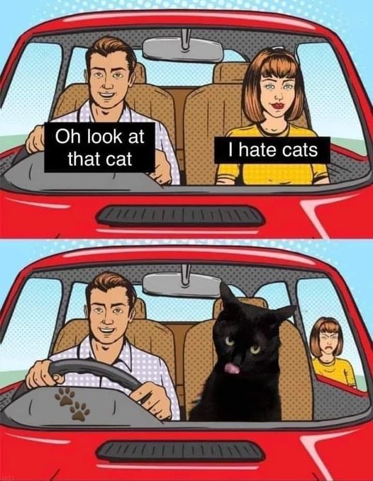 CatsSheHates.jpg.fb39362086b6cab99ab421b6262c65c2.jpg