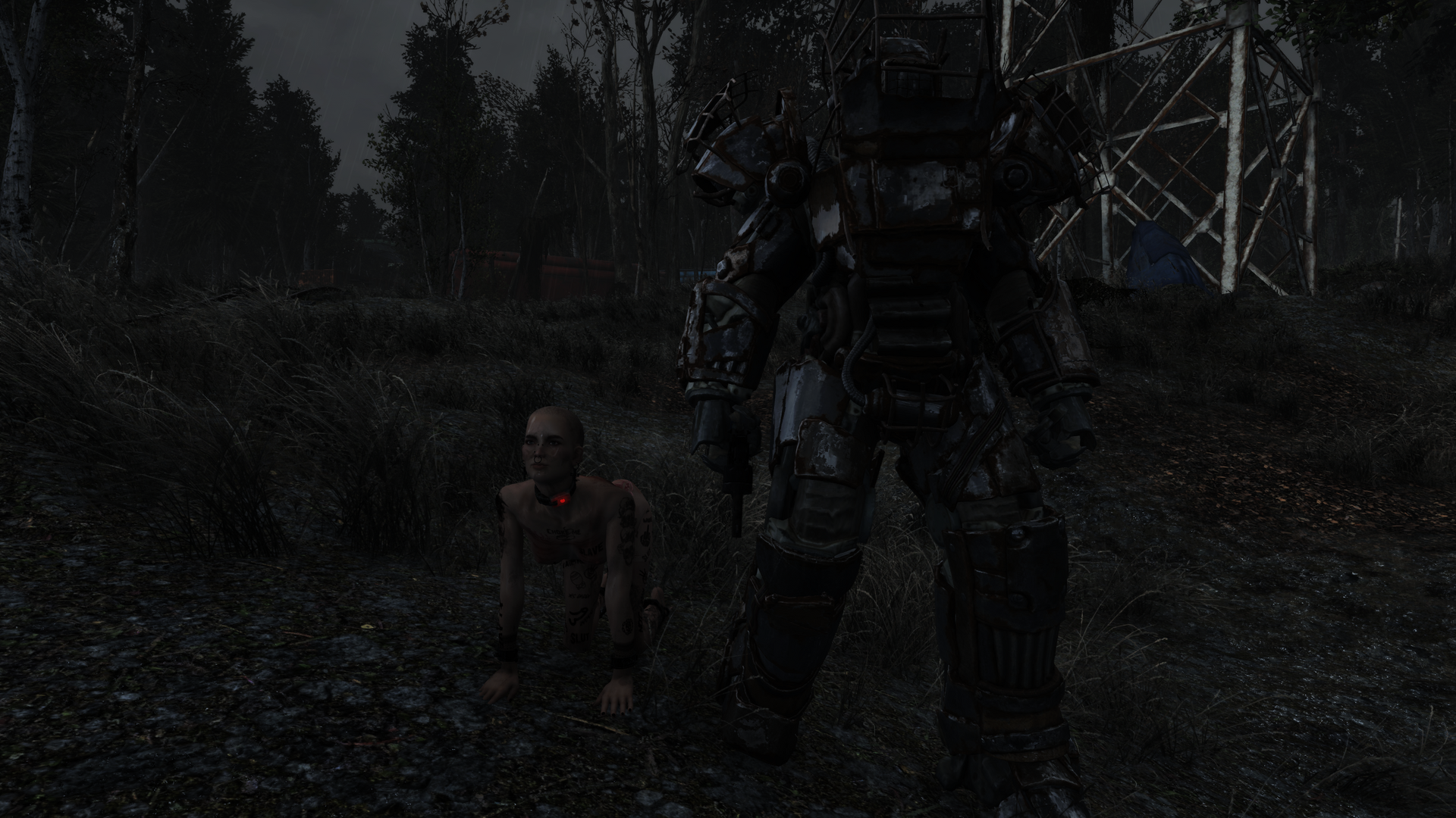 Tamed12.thumb.png.0ba86c5b3d079c6c0ad8b1aae1ec296c.png